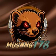 Cara Pasang musang178 di HP Android dengan Benar